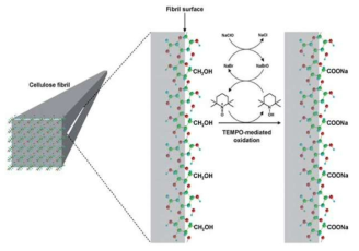 TEMPO/NaBr/NaClO 시스템에 의한 셀룰로오스 산화 메커니즘