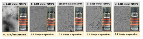 TEMPO 사용량 절감에 따른 S-CNF의 TEM 및 현탁액 이미지: