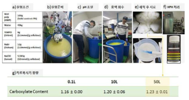 50 L 생산용량의 S-CNF 제조공정 이미지