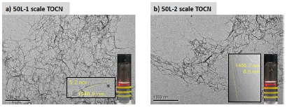 50 L 생산용량으로 제조한 S-CNF의 TEM 이미지