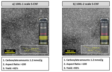 100 L 생산용량으로 제조한 S-CNF의 TEM 이미지
