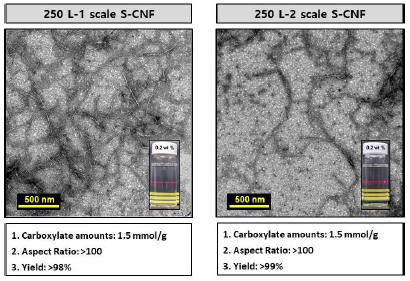 (수식) 500 L(250 L × 2) 생산용량으로 제조한 S-CNF의 TEM 이미지