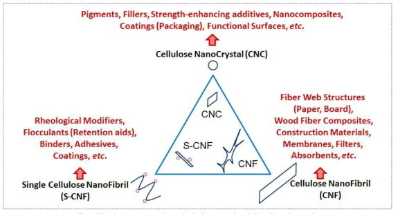 셀룰로오스 나노파이버 종류별 적용 가능한 분야 (출처 : http://www.vtt.fi/files/events/pulpaper10/nfcapplications_hph.pdf)
