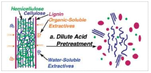 묽은 산 처리에 의한 헤미셀룰로오스의 분해 (출처 : Pingali et al., Biomacromolecules, 2010)