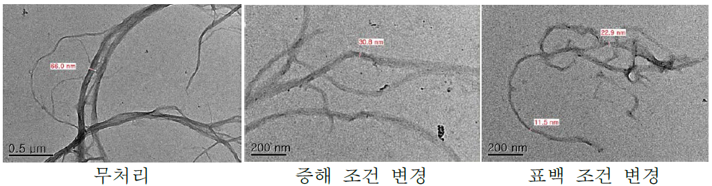 크라프트 펄핑 조건 변경에 따른 CNF 성상 TEM 이미지