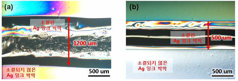 Ag 박막의 (a) 광학계 도입 전, (b) 광학계 도입 후 레이저 소결 광학 현미경 이미지