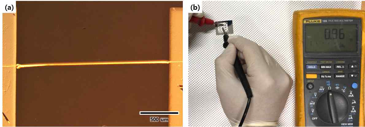 Ag 전극 패드 사이에 인쇄된 Ag line의 (a) 광학 현미경 이미지 및 (b) 저항 측정 결과