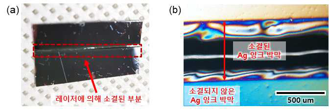 Ag 박막의 이미지 (a) 레이저에 의해 소결된 Ag 박막, (b) 광학 현미경으로 본 레이저에 의해 소결된 Ag 박막