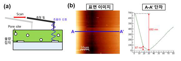 (a) 접촉식 초음파 펄서/리시버 방식의 탐지 모식도 (b) 초음파 AFM으로 측정한 표면 image 및 A-A’ 단면 단차