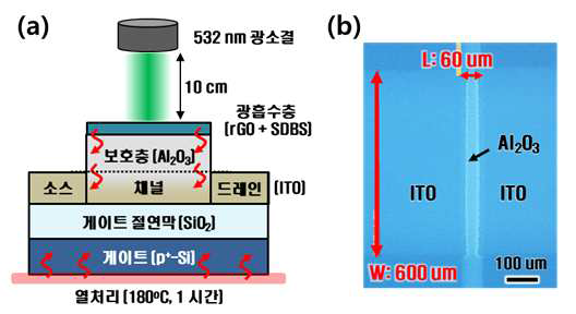 (a) ITO 산화물 박막트랜지스터 구조 개념도 및 (b) 소자의 top view 광학 현미경 이미지