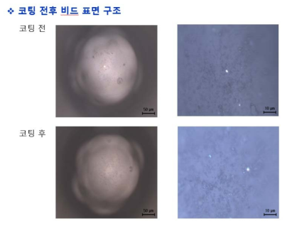 방습코팅 전/후의 유리알 표면 이미지