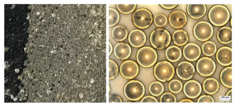 초고굴절 유리알 광학현미경 이미지