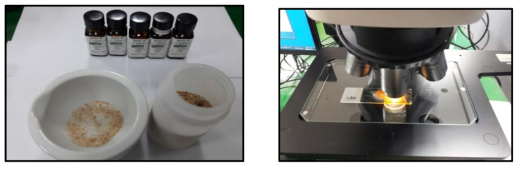 굴절률 측정 표준 용액(nD = 1.6, nD = 1.74)과 광학현미경을 이용한 침적 시료 관찰