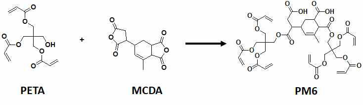 Acidic 다관능성 모노머 PM6의 합성