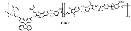 Unist Polyimide(FSKF) 구조