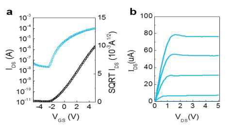 광조사 어닐링 방법으로 제작한 0.8M SAO5/IGZO TFT의 Transfer 및 Output데이터