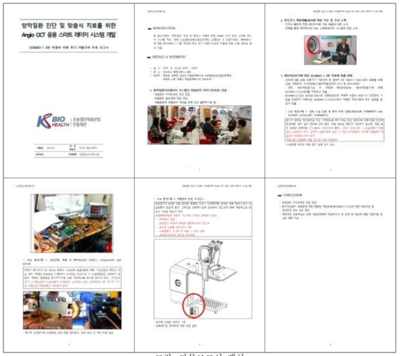 자문보고서 캡쳐