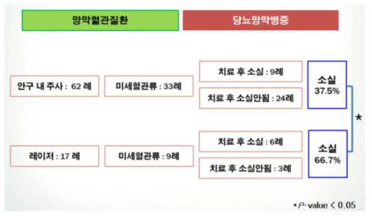 망막혈관질환 중 당뇨망막병증 사례 분석