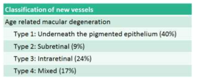AMD에서의 맥락막 신생 혈관 분류