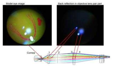 Model eye 영상 촬영 시 나타나는 안저카메라 광학계 내부 stray light