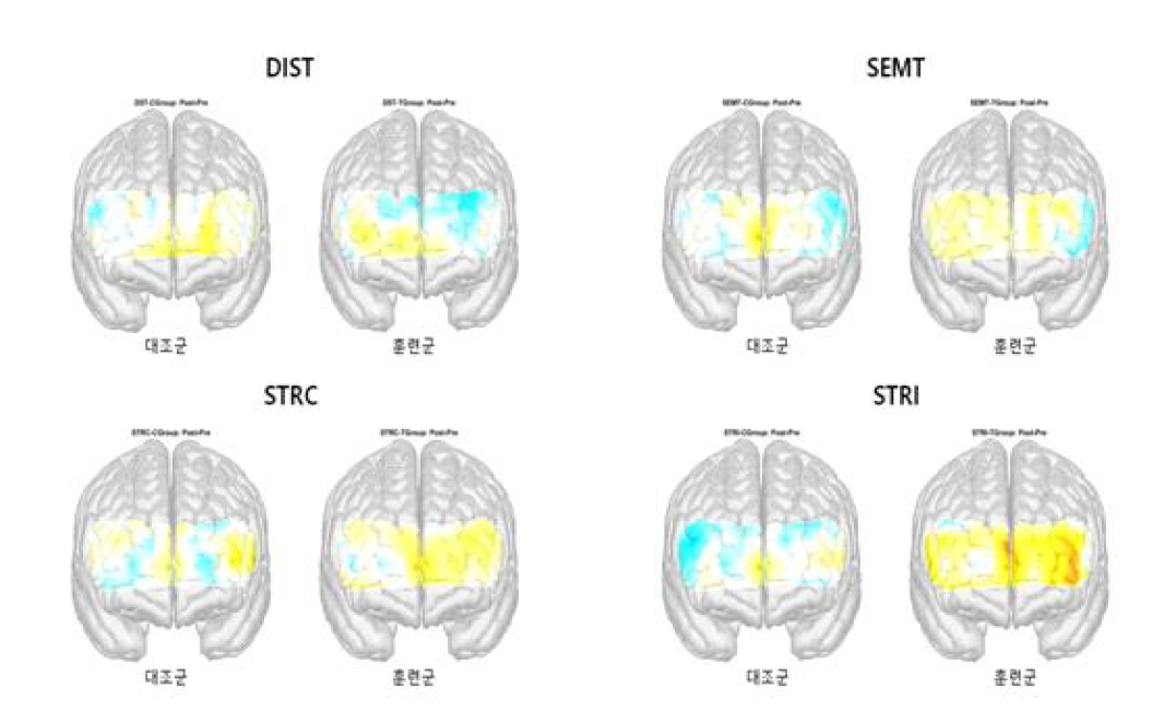 brain activation map at cognitive tasks of each group