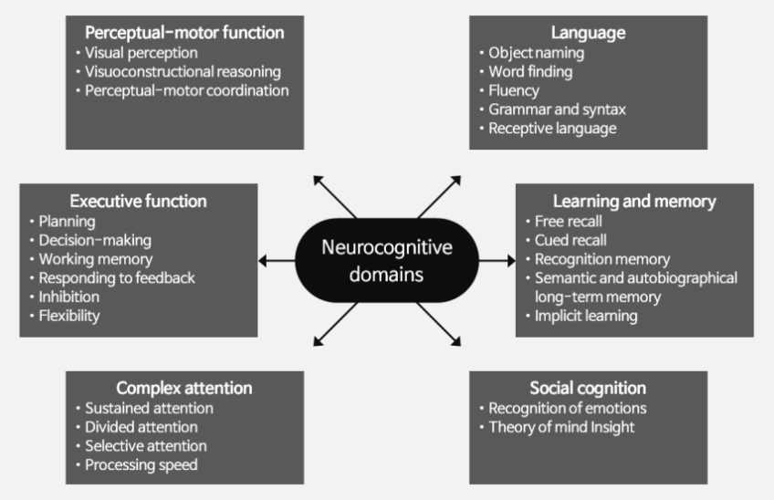 The Diagnostic and Statistical Manual of Mental Disorders, Fifth Edition(DSM-5) 기반 인지기능의 주요 6가지 하위 요인: 언어, 학습과 기억, 사회적 인지,주의력, 실행기능, 지각-운동기능(시공간기능), nature reviews neurology (2014)