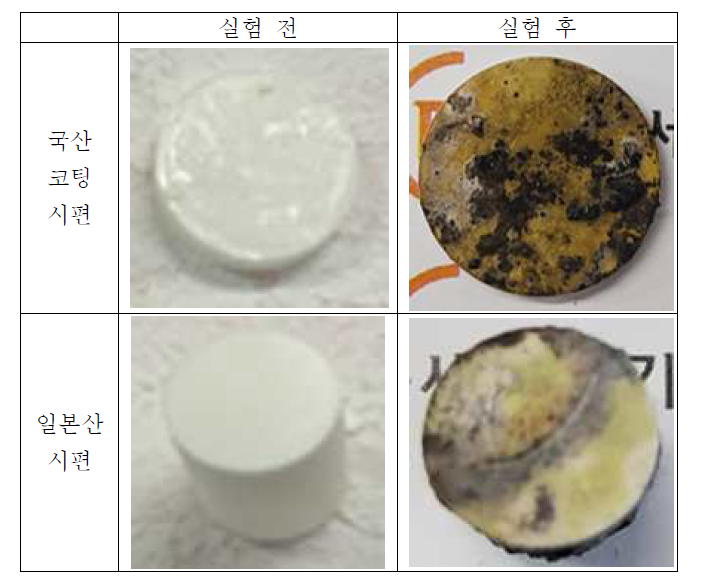 SOM 전극 장기수명평가 실험 전·후 사진