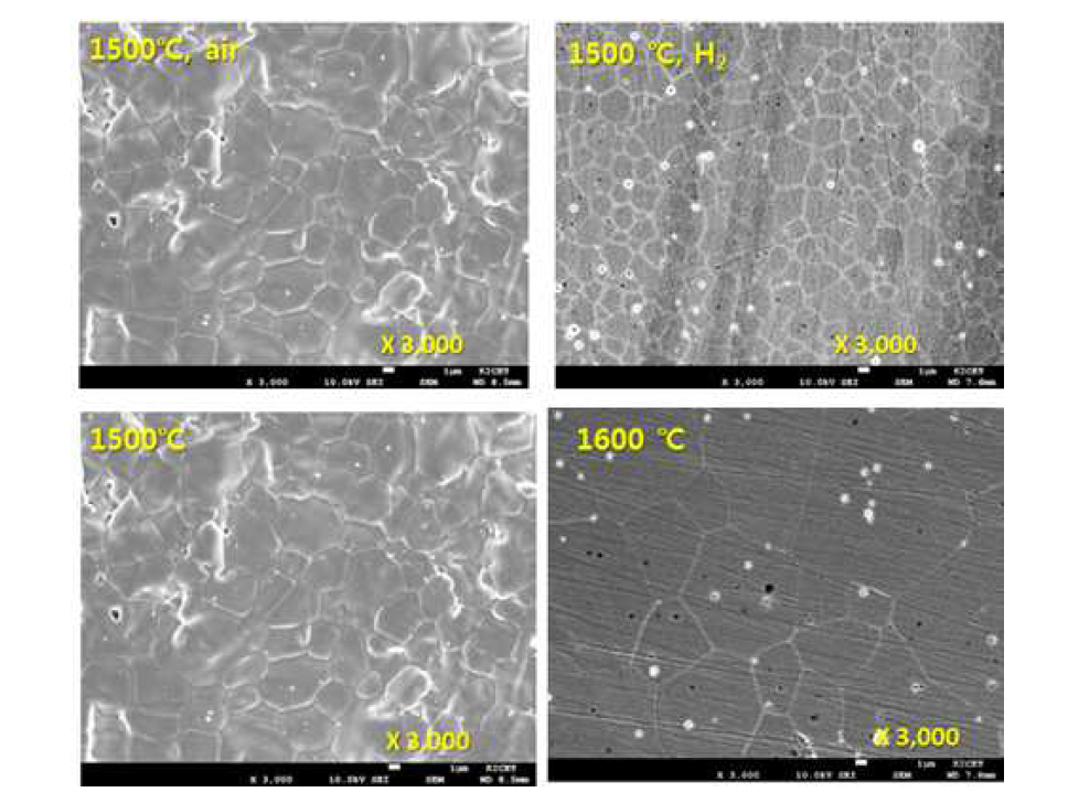 산소분위기 및 온도 변화에 따른 미세구조 변화