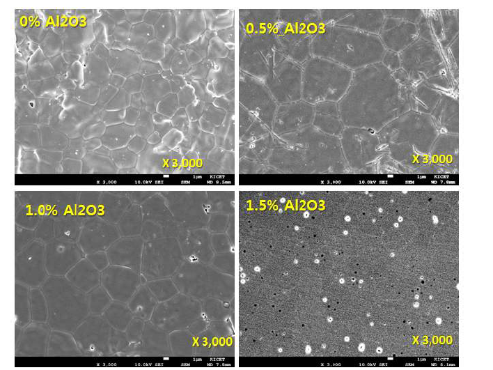 Al2O3 소결 조제 첨가에 따른 (0, 0.5, 1, 1.5% Al2O3 첨가) 시편의 표면 미세구조