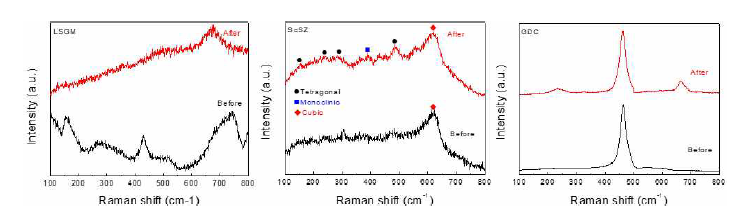 염욕 반응 전/후 XRD 및 Raman 분석 결과