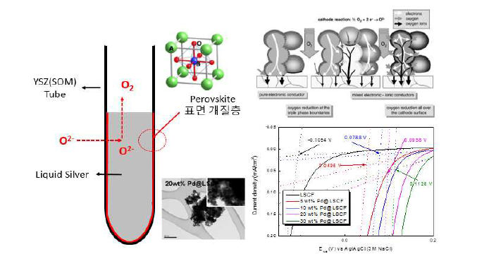 SOM 산소이온 기체화 활성(ORR) 표면 개질 층 기능 전극 소재 개발Pd@LSCF