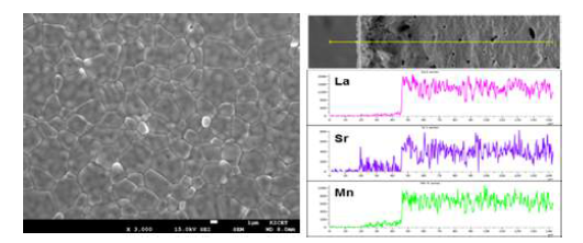 LSM-YSZ 복합체 표면 사진(우) 및 EDS 결과(좌)
