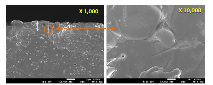 GDC 코팅 단면 FE-SEM 이미지(좌) 및 코팅층 확대 결과(우)