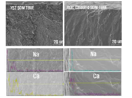 SOM 실험 후 GDC 보호층이 적용된 SOMtube 및 YSZ SOM tube 단면 및 EDS 결과