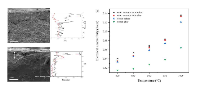 염욕시험 후 (a)YSZ (b) GDC 코팅층 적용 YSZ EDS 분석결과 및 (c)전도도 변화