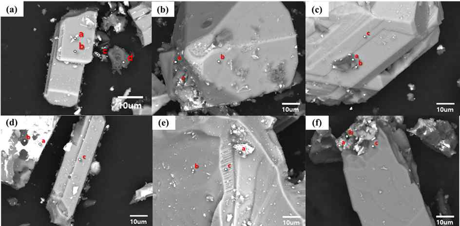 Ti 전착물 SEM-EDS 분석 결과 (a) No. 1, (b)No. 2, (c) No. 3, (d) No. 4 (e) No. 5 (f) No. 6
