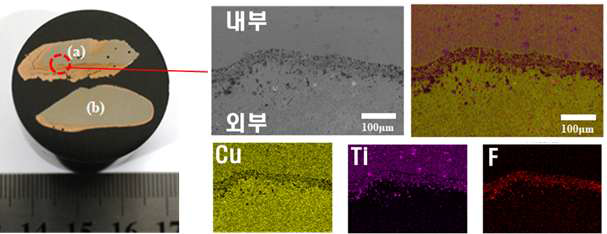 Ti 전해정련 공정 이후 회수된 Anode 단면 SEM-EDS 분석 결과