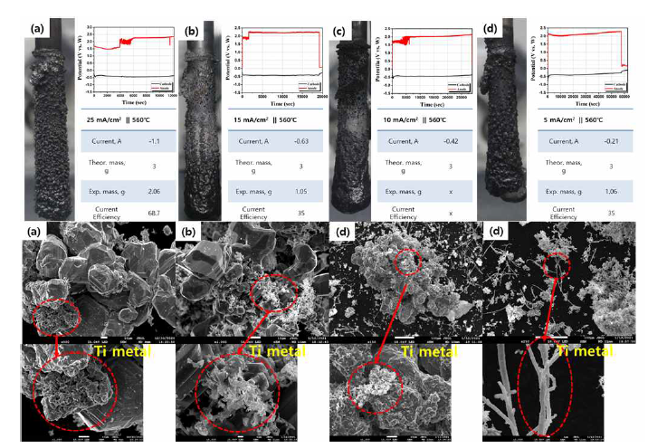 Ti 전해정련 전착물 SEM-EDS 분석 결과 (a) 560℃, 25mA/cm2, (b) 560℃,15mA/cm2, (c) 560℃ 10mA/cm2, (d) 560℃, 5mA/cm2