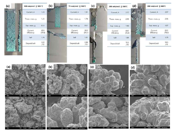 Ti 전해정련 전착물 SEM-EDS 분석 결과 (a) 500℃, 100mA/cm2, (b)500℃, 75mA/cm2, (c) 550℃ 200mA/cm2, (d) 600℃, 200mA/cm2