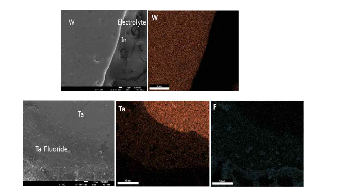 W, Ta Cathode를 활용한 정련 반응 후 SEM-EDS 분석 결과