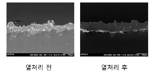 열처리 전/후 코팅막 경계면 SEM 결과