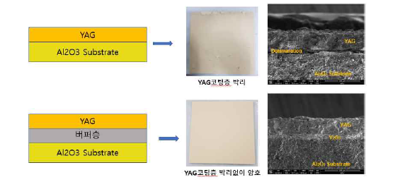 버퍼층 적용 전/후 코팅막 경계면 SEM 결과