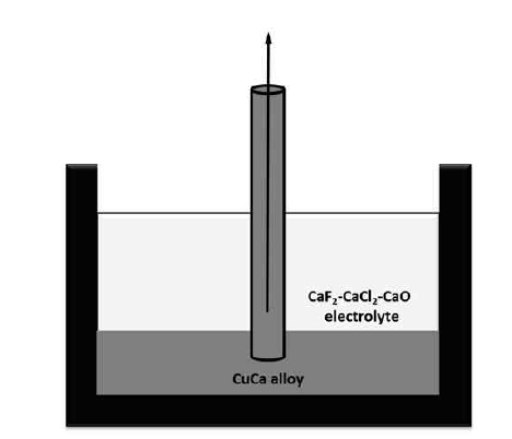 전해질로의 재용출 되는Ca 여부 검증 실험 모식도