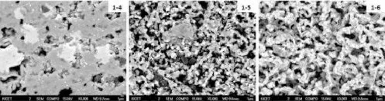 SEM/BSE mode로 관찰한 1-4~6 조성의 1,820°C 가스압소결시편의 미세구조