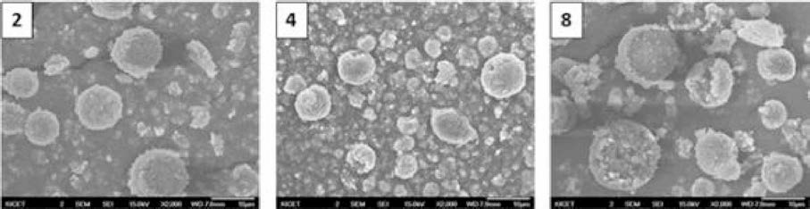 구형입자가 나타난 2, 4, 8 조건으로 제조된 과립분말의 미세구조