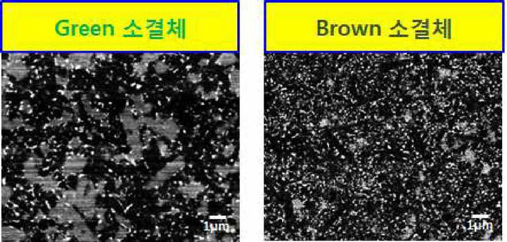 green 소결체와 brown 소결체의 미세구조 비교 관찰 (X5000)