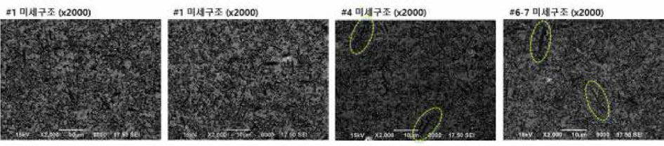 4차년도 B12 세라믹스의 2차 양산화 소결체의 단면부의 미세구조