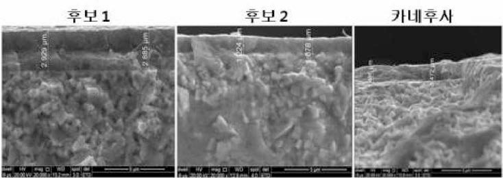 코팅막 SEM 분석