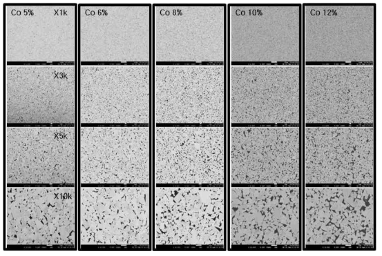 CO 5~12% 합금의 SEM 이미지