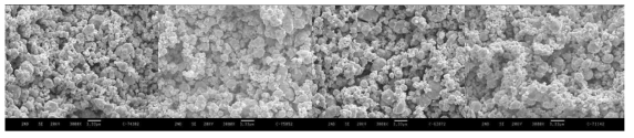 SEM image of tungsten carbide powder by carbonization (Test B 1~4)